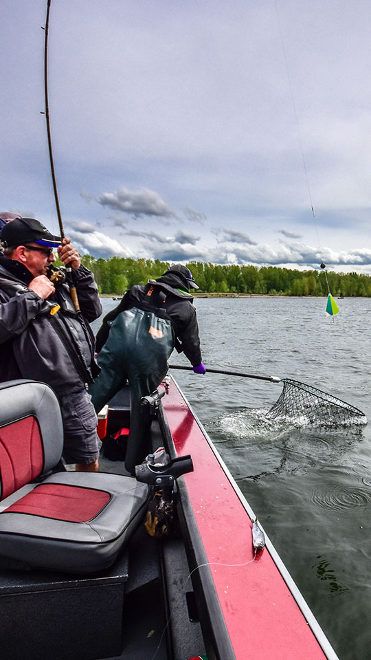 A client catching a fishing on a fishing charter